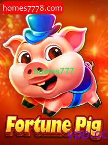 FortunePig